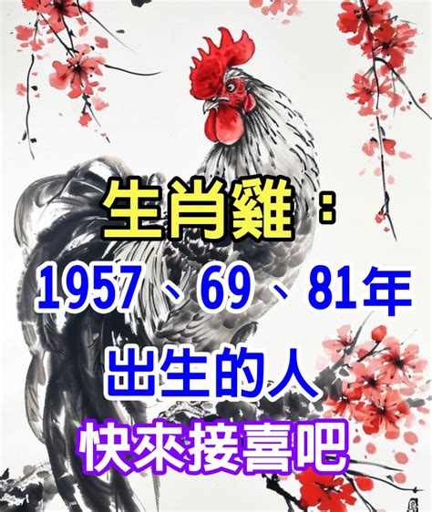 1969生肖雞|【1969生肖雞】1969年生肖雞2023流年運勢完整解析！54歲屬雞。